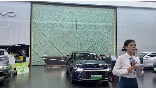 比亚迪超大众登顶中国汽车销量第一 小编探店看看是否名不符实