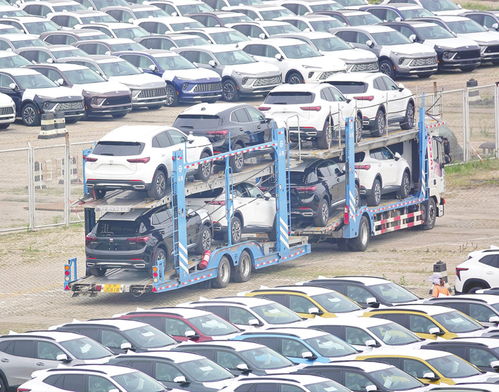 同比增6.1 上半年我国汽车销售1404.7万辆