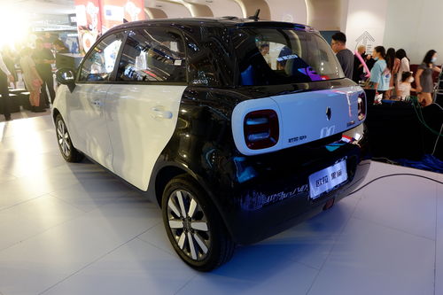 欧拉黑猫单月销售近4000辆,萌系纯电动汽车热销