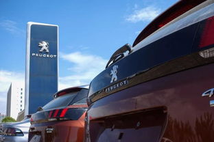 法系车 奢侈品牌荣耀与我无关