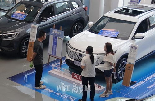 内江 汽车 金九 销售旺