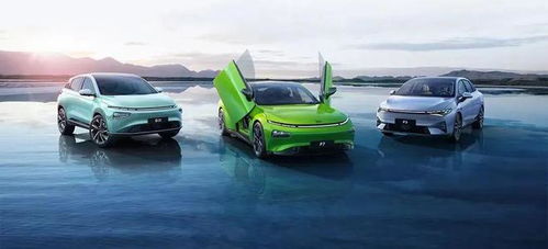 蔚小理 在争议与赞誉交织中成长的汽车配件销售新模式